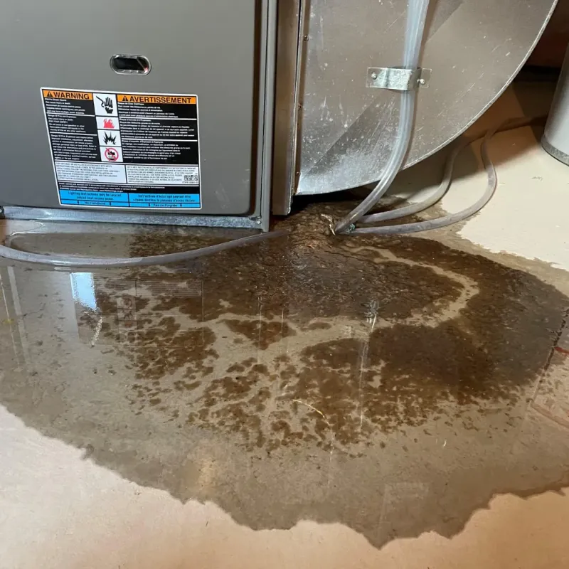 Appliance Leak Cleanup in Versailles, IN